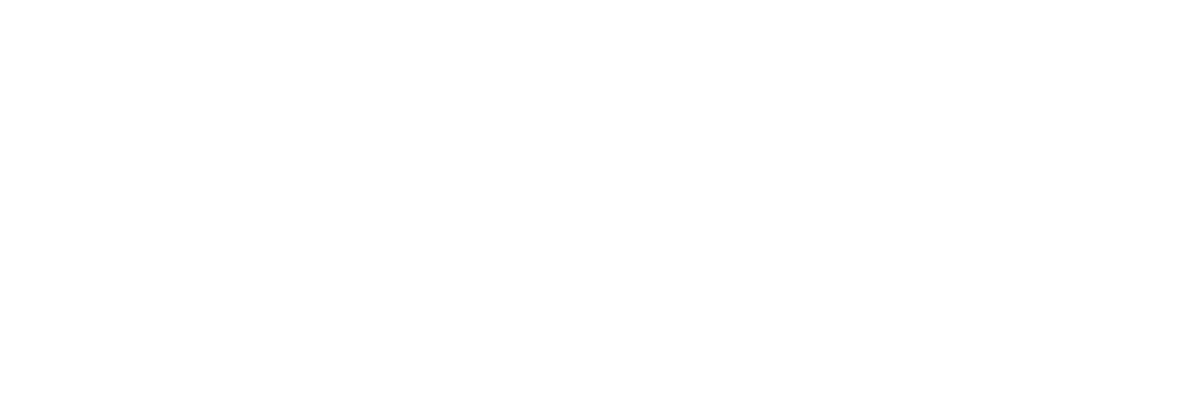 Full logo — white